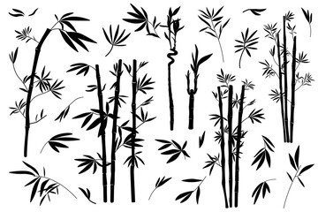 Set of illustrations of bamboo, leaves and branches, silhouette, vector 