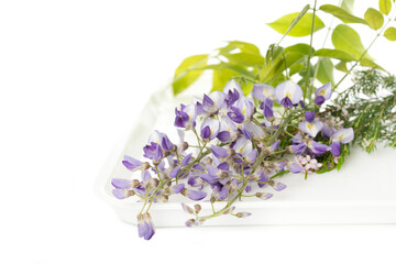 Lilac flowers on white tray