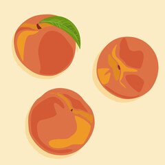 Whole peaches from different angles. Vector food icons. Summer fruits.
