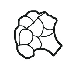 Broccoli Vegetable Food Fruit Health Nature Hand drawn Doodle