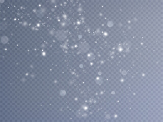Light effect with glitter particles.Christmas dust.White sparks shine with special light.