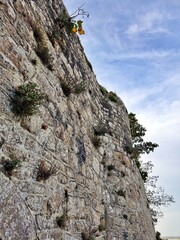 climber on a rock