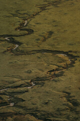 safari on hot air balloon in Masai mara national reserve in Kenya
