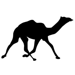 Vector camel silhouette