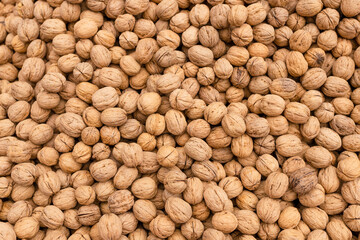 Natural Walnuts with shell background pattern texture. Background of fresh walnuts in shell. Lots of Walnuts with shell at the market in Istanbul