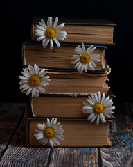daisies with a book
