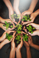 Hands together, dirt and plants growth with sustainability and community work. People, top green...
