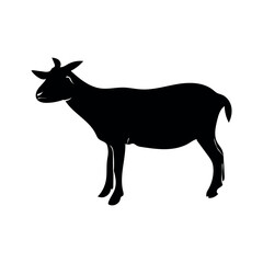 A black goat is silhouetted against a white background.