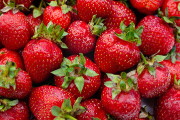 Red background of ripe strawberries. Close up, top view.