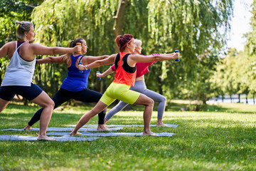 Group of women doing outdoor workout in park