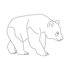 Doodle of Panda. Hand drawn vector illustration.