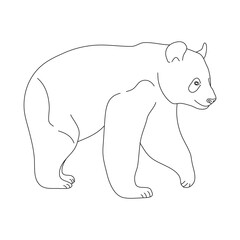 Sketch of Panda drawn by hand. Vector hand drawn illustration.