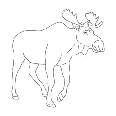 Doodle of Moose. Hand drawn vector illustration.