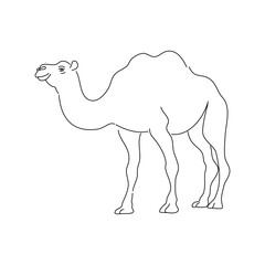 Camel linear doodle vector illustration.