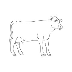 Hand drawn cow. Sketch vector illustration.