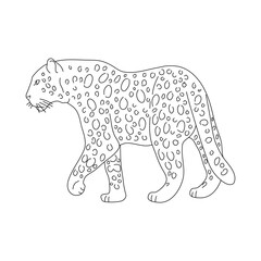 Leopard in line art drawing style. Vector illustration.