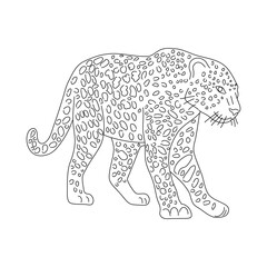 Sketch of Leopard. Hand drawn vector illustration.