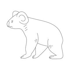 Sketch of Koala. Hand drawn vector illustration.