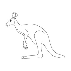 Kangaroo in line art drawing style. Vector illustration.