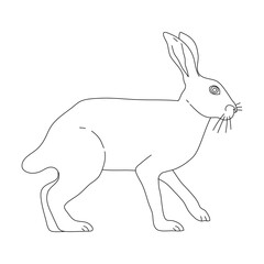 Sketch of Hare. Hand drawn vector illustration.