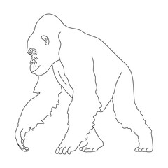Gorilla in line art drawing style. Vector illustration.