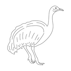 Emu in line art drawing style. Vector illustration.
