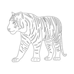 Sketch of Tiger drawn by hand. Vector hand drawn illustration.