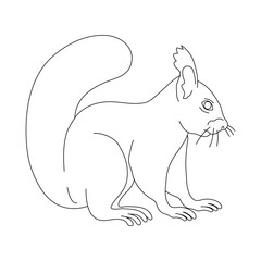 Sketch of Squirrel drawn by hand. Vector hand drawn illustration.
