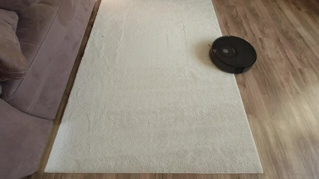Roomba vacuum cleaning the carpet in the apartment