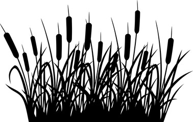 Reeds (PNG illustration of bulrush)