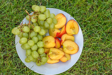 Talerz z owocami leżący na trawie. Sierpniowe zbiory w ogrodzie- nektarynki i winogrona - obrazy, fototapety, plakaty