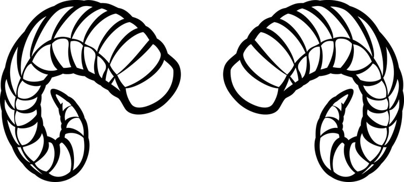 Ram horns PNG illustration