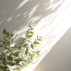 Shadow of tree and green tree branches with sun light and trendy shadow on wall,Modern interior design concept,Generative, AI, Illustration.