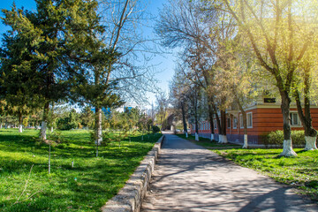 City lawn with irrigation system. Municipal sprinklers on the street on a summer day.