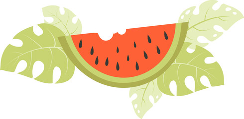 Piece watermelon with leaves illustration
