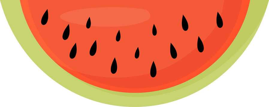 Piece watermelon illustration