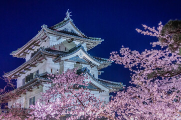弘前公園の夜桜ライトアップ