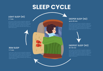 Sleep cycle infographic, child peacefully sleeping in bed, flat vector illustration.