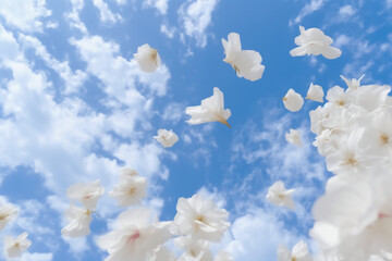 하얀 꽃잎이 흩날리는 하늘 배경. 인공지능 생성