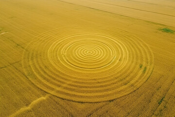 Fototapeta na wymiar Fake UFO circles on grain crop yellow field, aerial view from drone