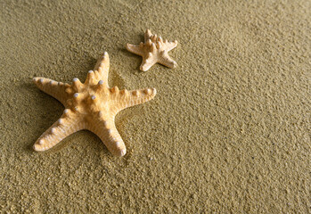 Fototapeta na wymiar Sea stars lie on the sand. Beautiful summer background.