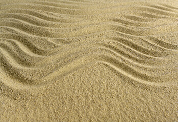 The wave pattern is drawn on the sea sand.