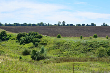 A green hill with a field in the background and blue sky, copy space