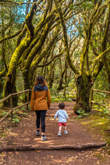Fototapeta na wymiar Mother and son walking in the natural park of Garajonay in La Gomera, Canary Islands