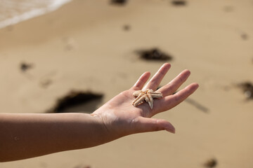 hand on the beach