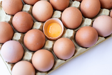 Fresh chicken brown eggs in a tray on a white background