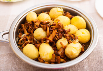 traditional dishes of Eastern European cuisine. Fried chanterelles with young potatoes in pan