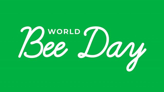 World Bee Day text animation green screen in black and white color chroma key with handwriting style. Great for world bee day celebrations, poster, banner, greeting card, invitation.