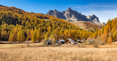 Claree Valley in autumn colors with view on Cerces Massif mountain range. Larch trees and forest near Nevache, Hautes-Alpes. Alps, France - 602626871