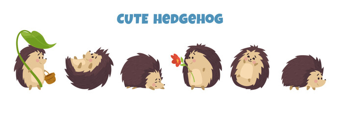 Cute hedgehog characters set for kids prints flat vector illustration isolated. © sabelskaya